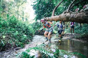 BIB: 
                            <button type="button" onclick="openModal(25442028)" class="btn btn-primary btn-sm float-right btn-popup" data-toggle="modal" data-target=".modal-high-quality">
                        <i class="fas fa-shopping-cart"></i> Add to Cart
                    </button>
                                            <button type="button" onclick="isThisMe(25442028, true)" class="btn btn-success btn-sm float-right btn-popup btn-isme hidden" data-toggle="tooltip" data-placement="bottom" title="นี่คือรูปของคุณใช่ไหม คลิกที่นี่เพื่อเอาเข้าอัลบั้ม">
                        <i class="fas fa-plus"></i> Add to album
                    </button>
                    <button type="button" onclick="isThisMe(25442028, false)" class="btn btn-warning btn-sm float-right btn-popup btn-isnotme hidden">
                        <i class="fas fa-ban"></i> Remove from album
                    </button>